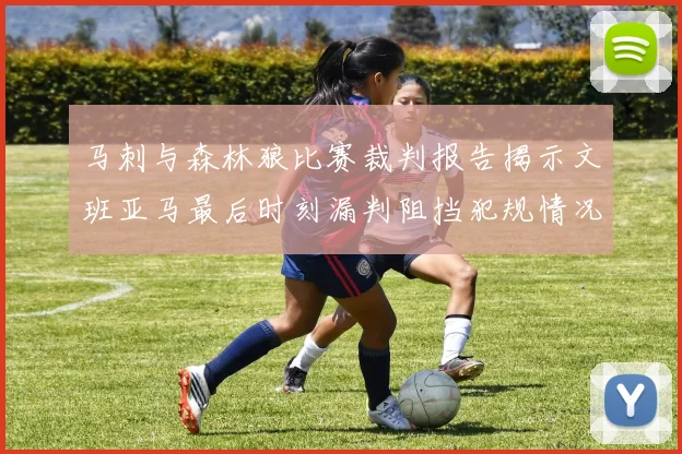 马刺与森林狼比赛裁判报告揭示文班亚马最后时刻漏判阻挡犯规情况