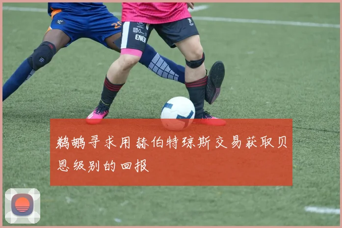 鹈鹕寻求用赫伯特琼斯交易获取贝恩级别的回报