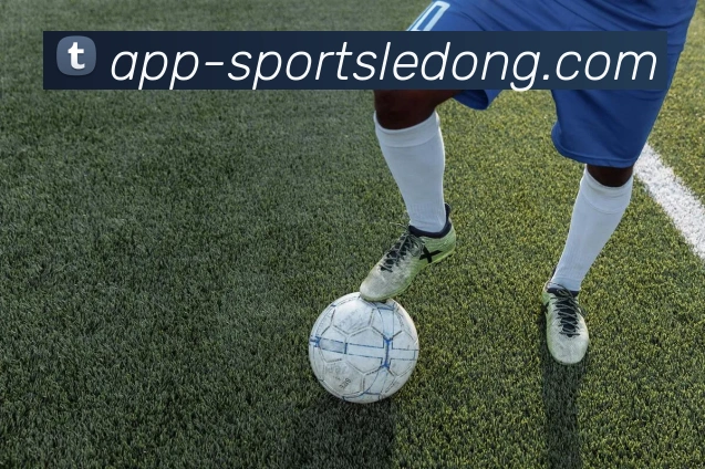 App Interface Preview